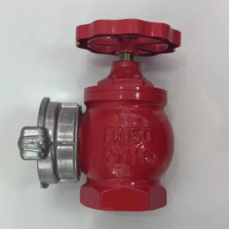 50MM Indoor Fire Hydrant SN50