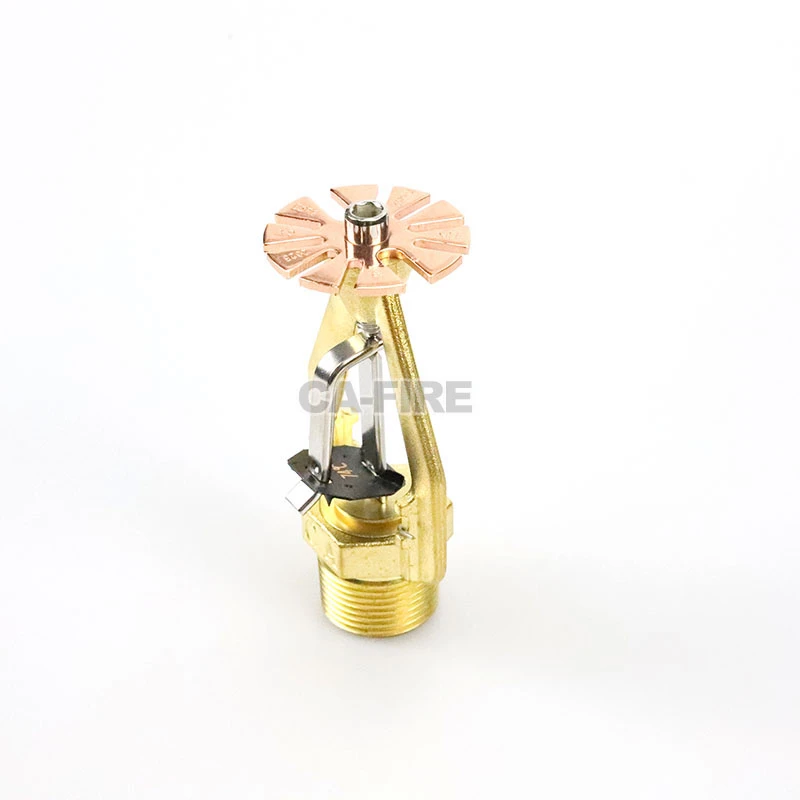 product-800-800