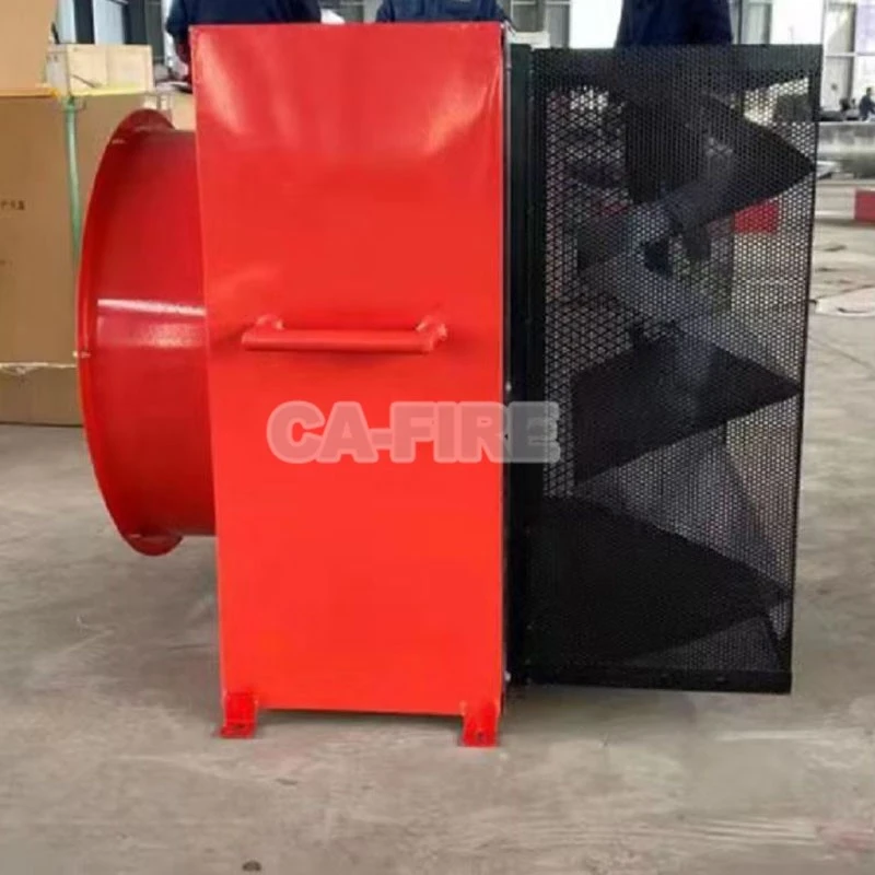 product-800-800